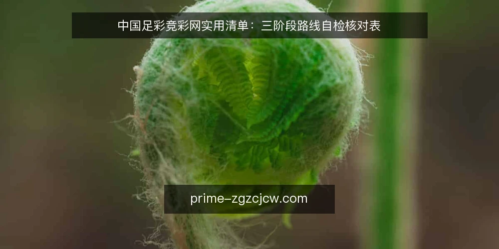 中国足彩竞彩网实用清单：三阶段路线自检核对表 — 基线核对：明确当前使用状态与目标 配图