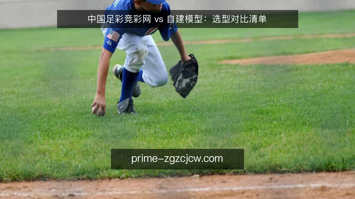 中国足彩竞彩网 vs 自建模型：选型对比清单