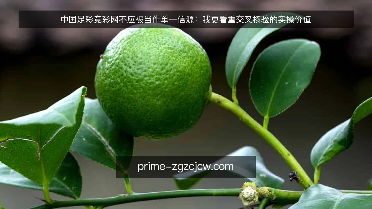 中国足彩竞彩网不应被当作单一信源:我更看重交叉核验的实操价值
